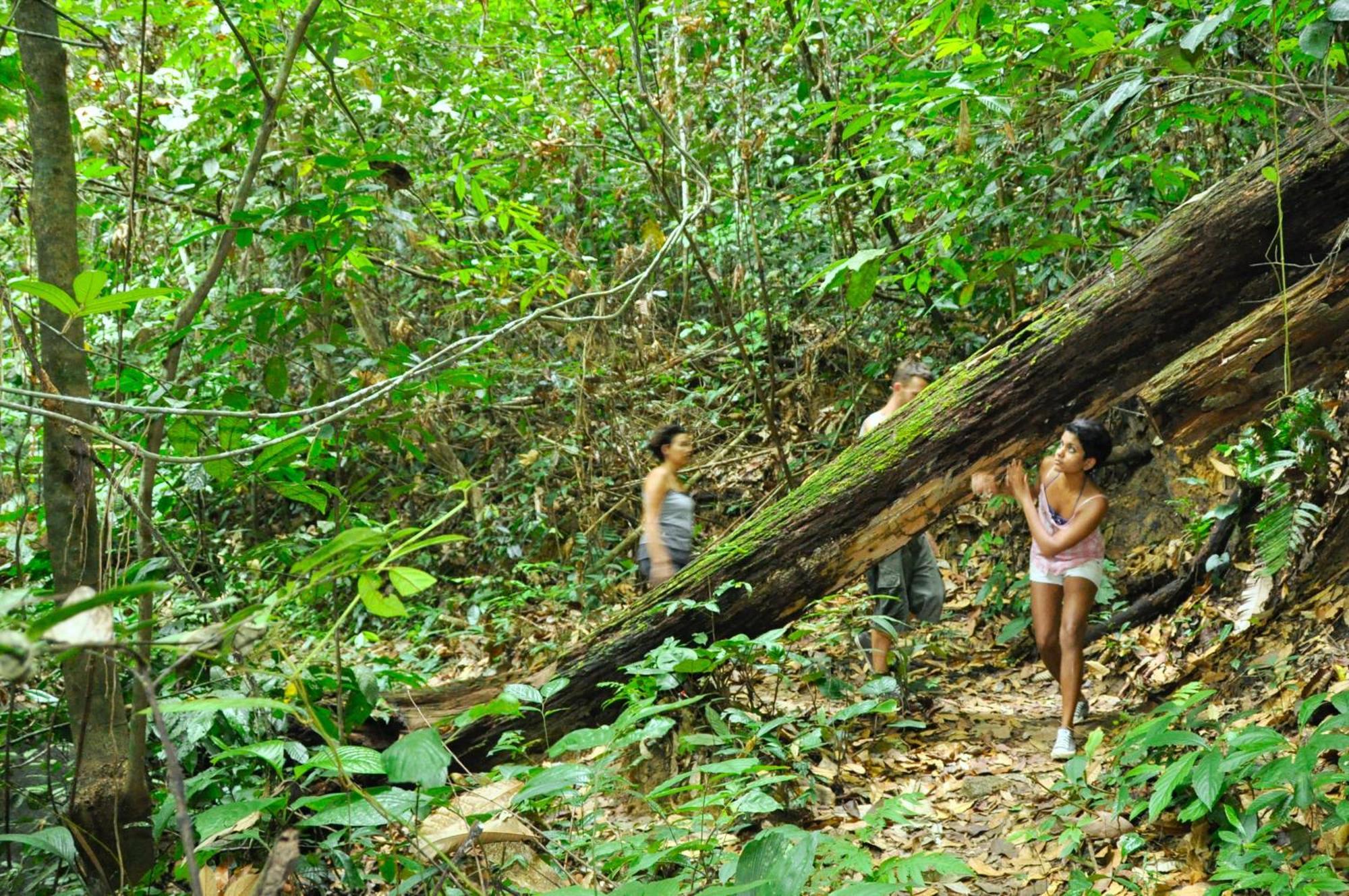 The Dusun Villa Seremban Kültér fotó